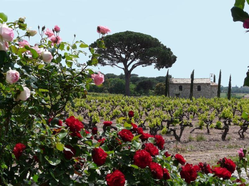 La Bastide Du Clos Des Roses - Teritoria Fréjus Exterior foto